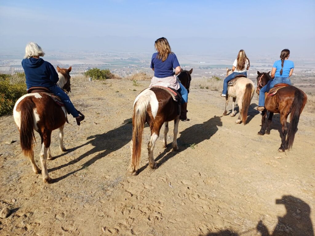 Four people on horseback stand on a dirt overlook, facing a town in the background.