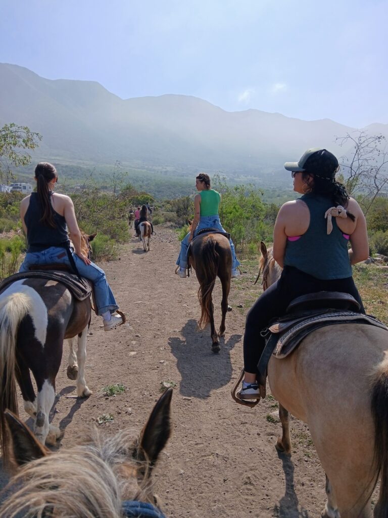 Five horseback riders head away from the camera on a desert trail.