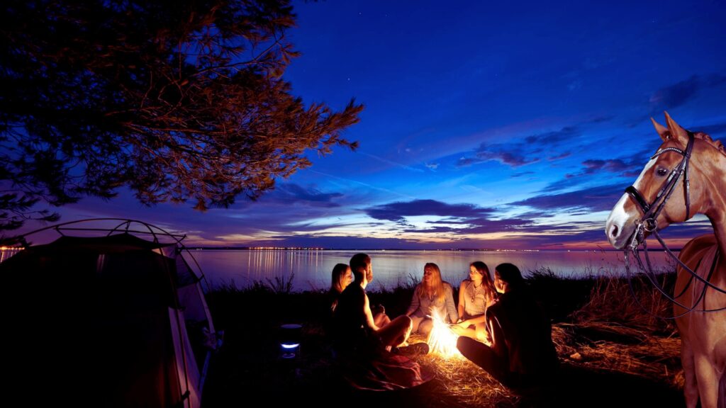 Five people sit around a campfire, under a dark sky just after sunset.  Two horses look on in the foreground.