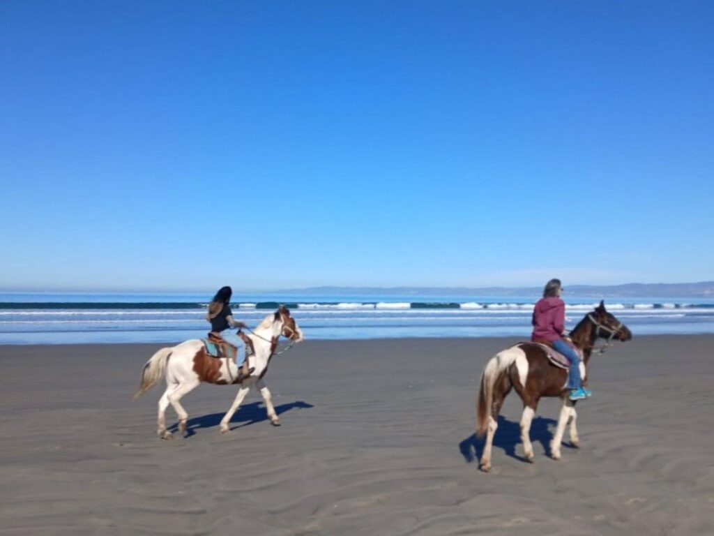 Two riders on a shallow beach ride toward the right side of the photo on a clear day.