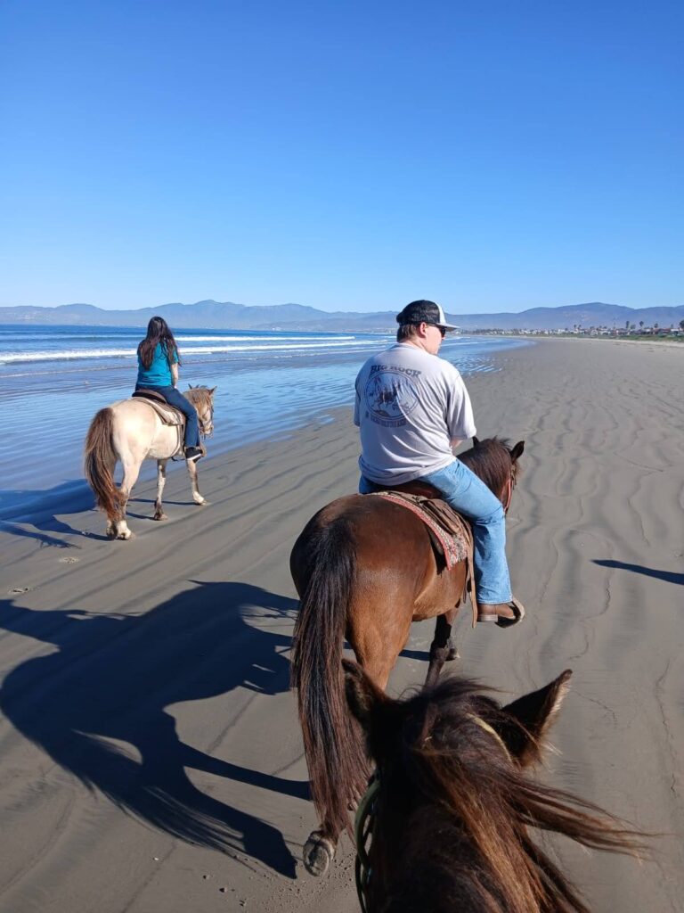 Two riders facing away from the camera on a shallow shore.