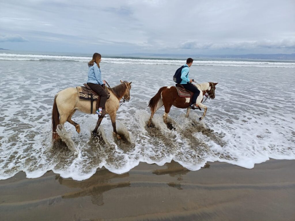 Two people in blue jackets ride horses on the shoreline through shallow water on an overcast day.