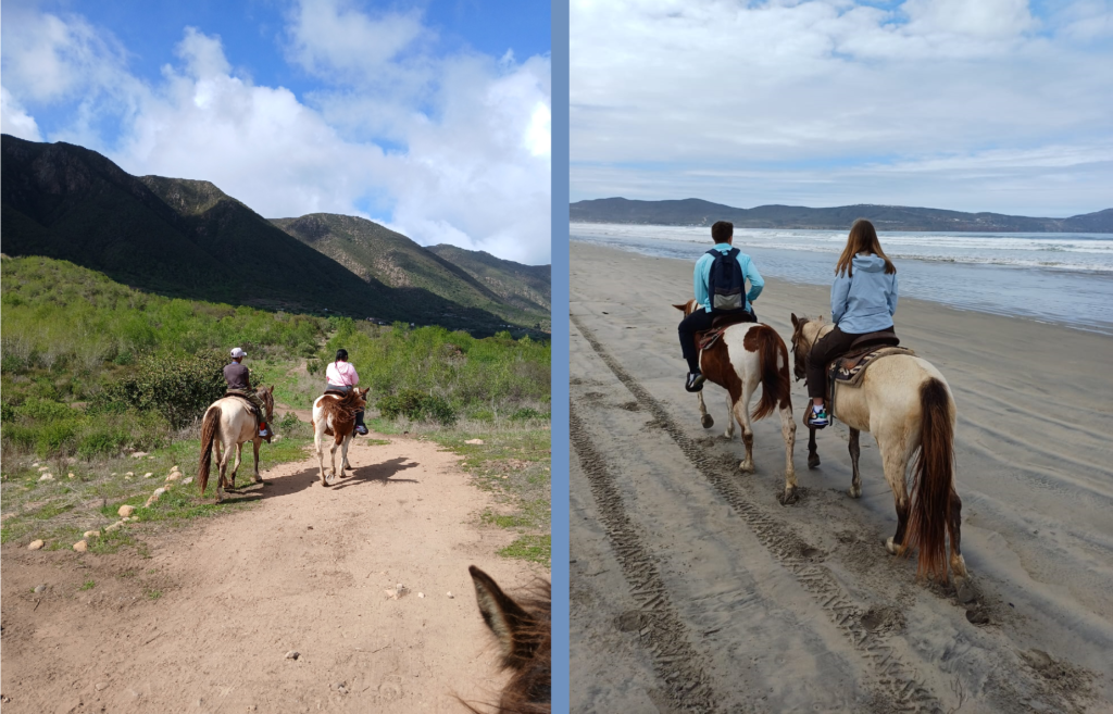 Image is split. On the left two horseback riders on a trail are heading toward a mountain.  On the right, two horseback riders are on a shallow sandy beach shore.