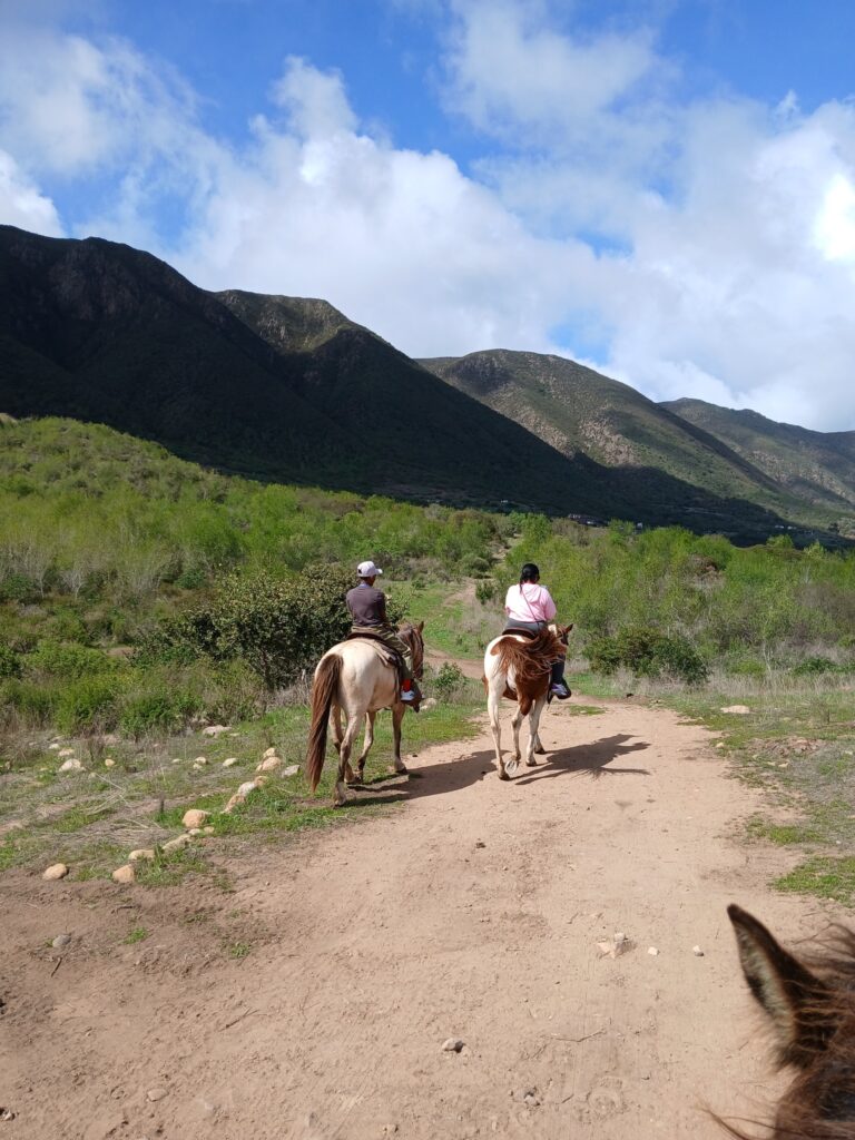 Two horseback riders on a desert trail head toward grassy hills.